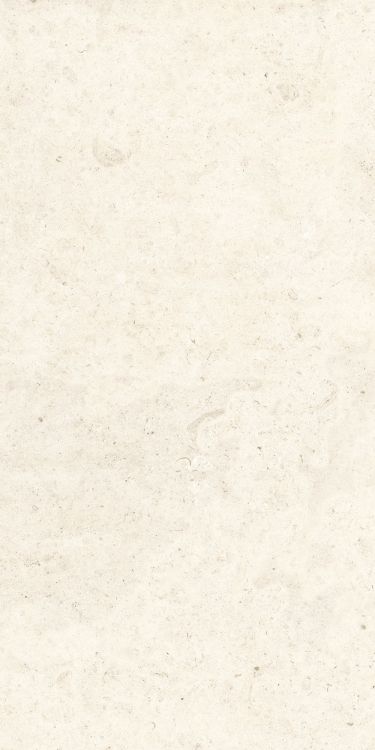 Lightstones.03 Shell Soft Touch 12 x 24